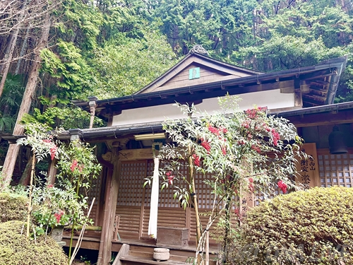 奈良県にある奥不動寺の境内。豊かな緑に囲まれた本堂の前に、赤い実をつけた南天が鮮やかに彩りを添えている。