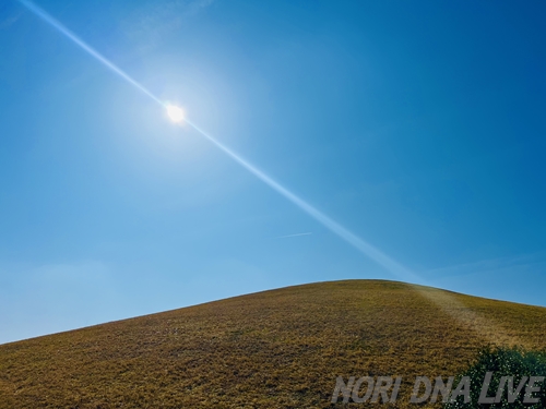 抜けるような青空の下、強い太陽光が斜めに差し込む、なだらかで広大な茶褐色の丘。