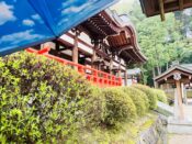 岡田国神社本殿