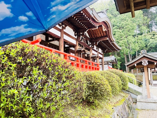 岡田国神社本殿